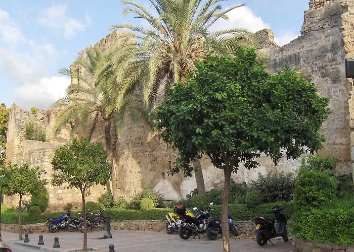 Diverhotel Dino Marbella